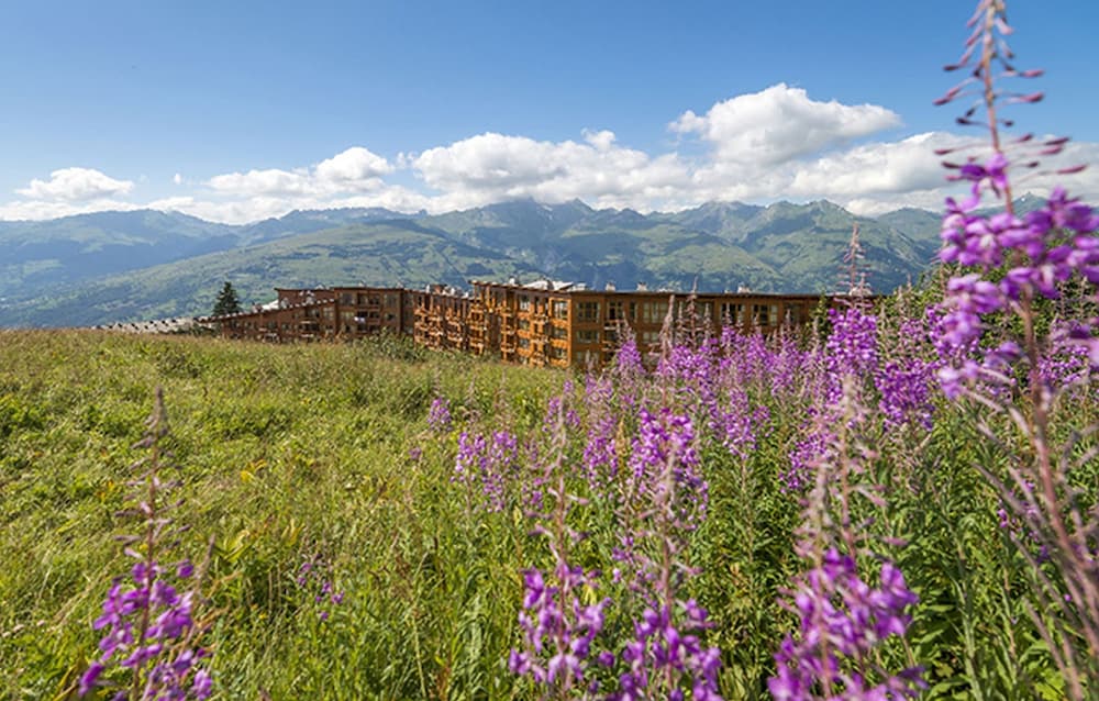Residence Odalys Appart Hotel Eden 40/50