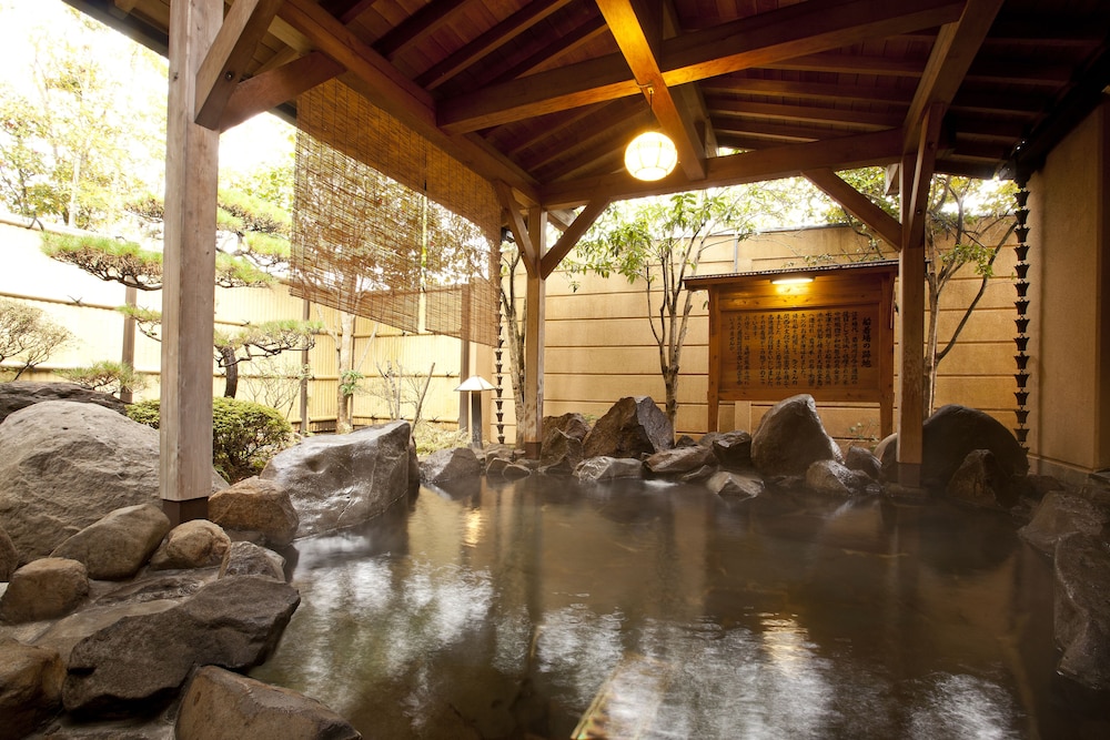 Yamaga Onsen Seiryuso 16/38