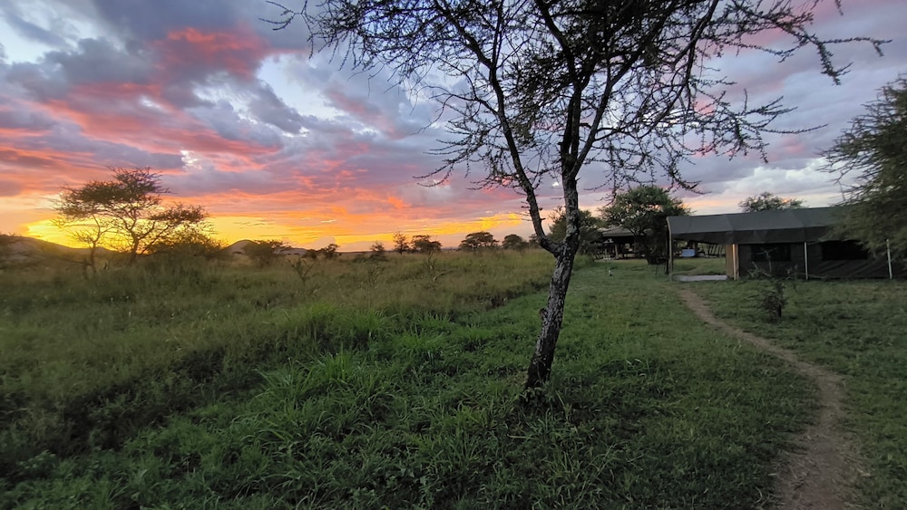 Kananga Special Tented Camp 42/50