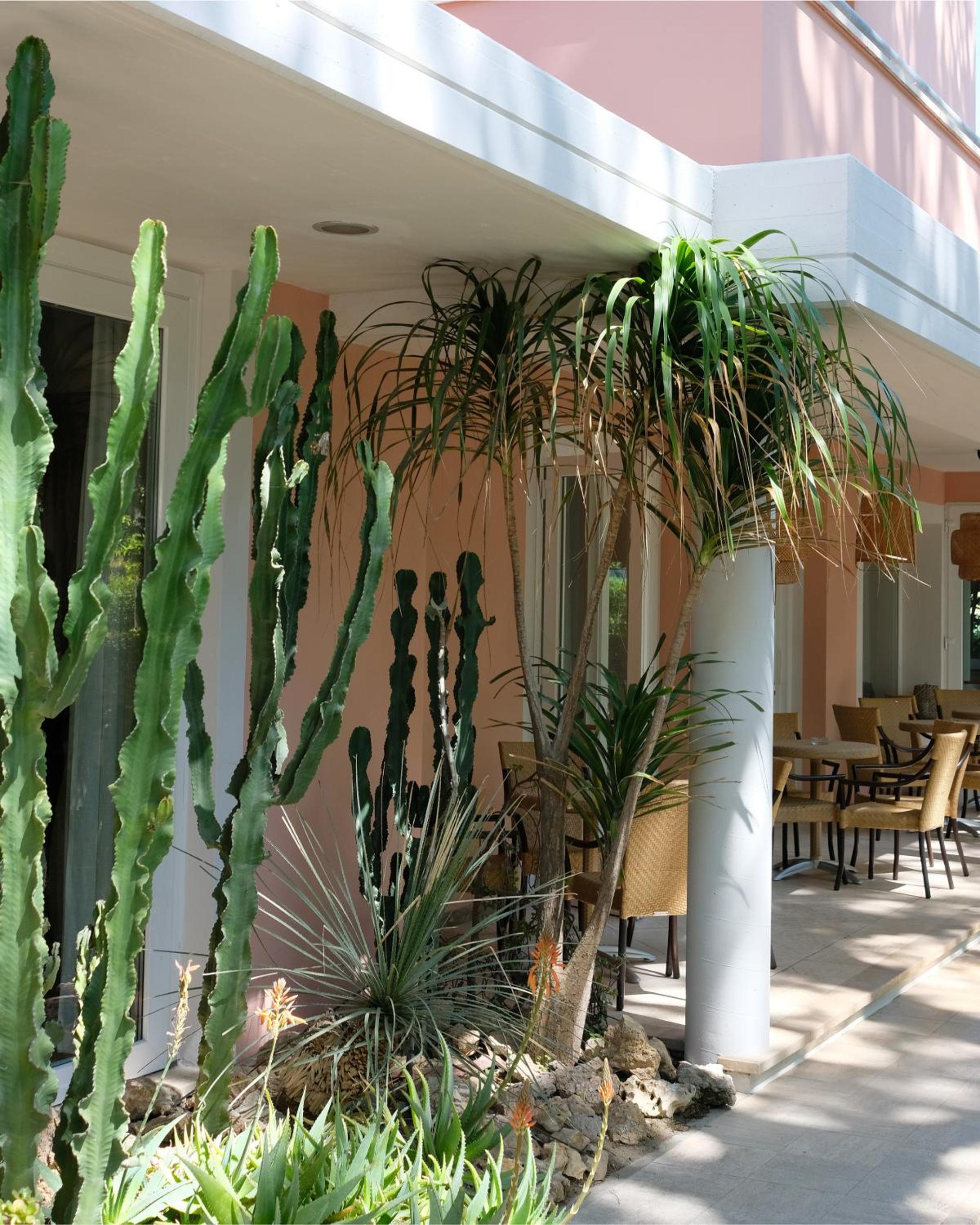 Hotel Piccolo Mondo 49/56