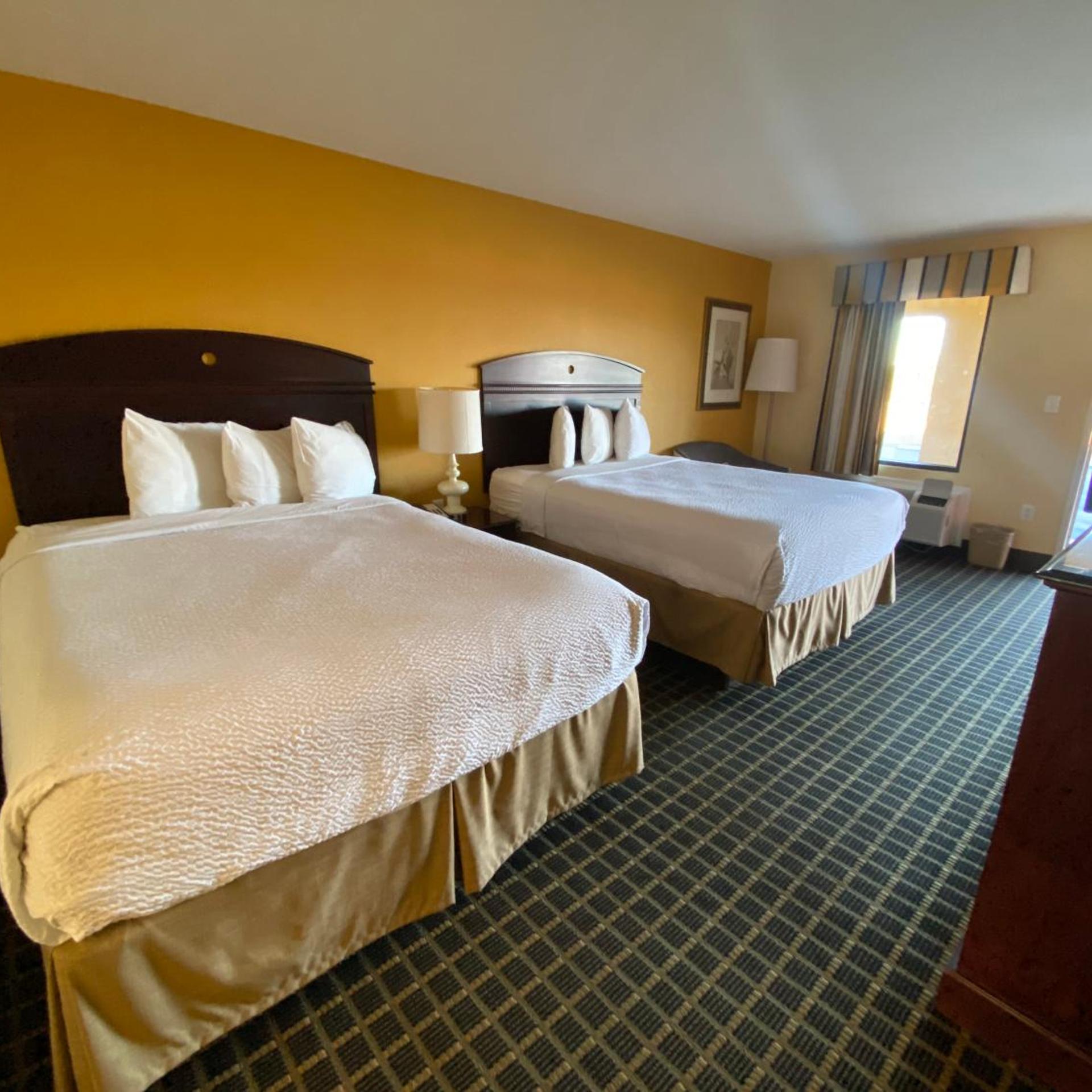Travel Inn 6/20