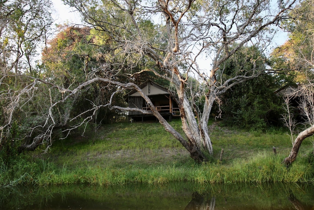 Camp Nkwazi 28/29