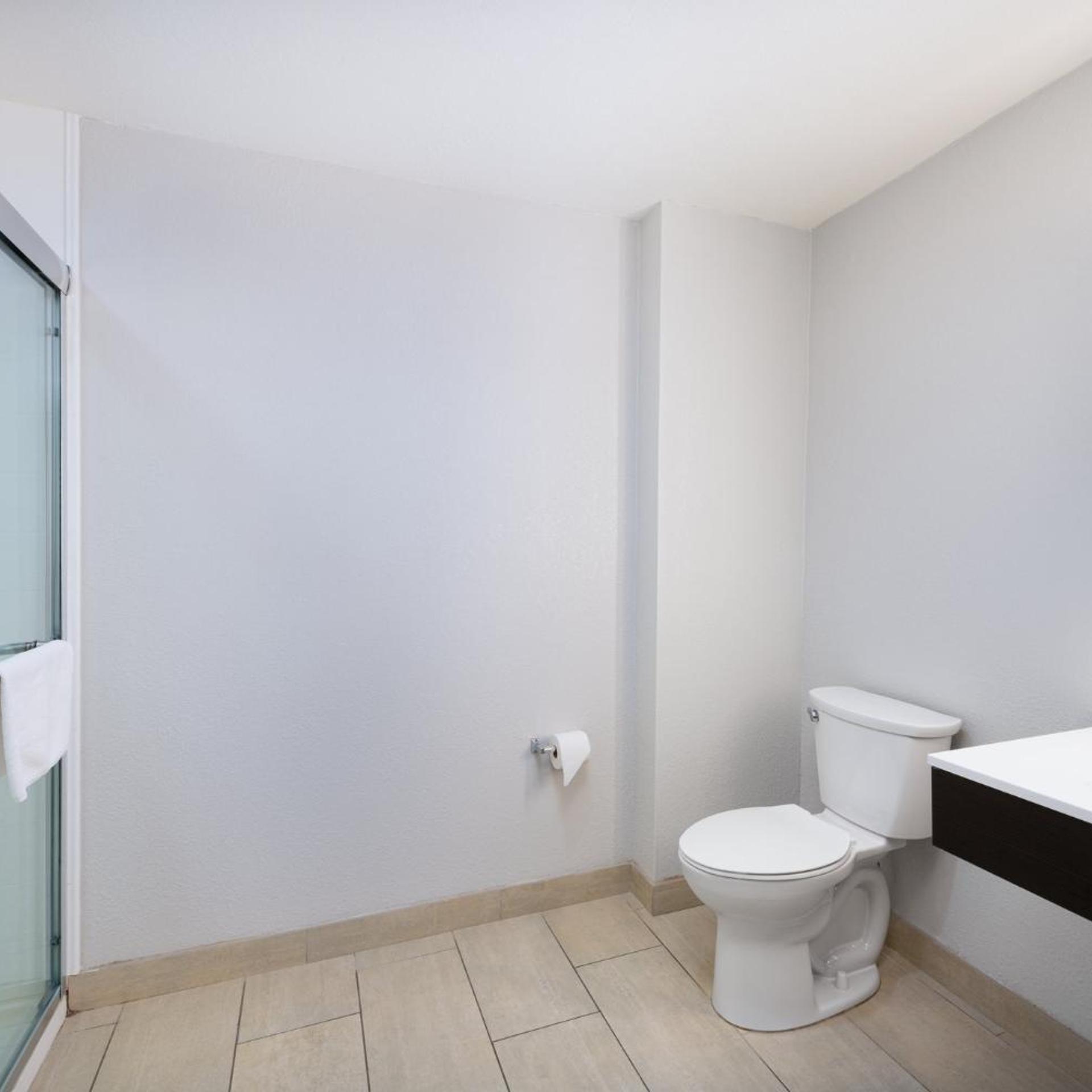 Suite, King Bed, Bathtub, Accessible