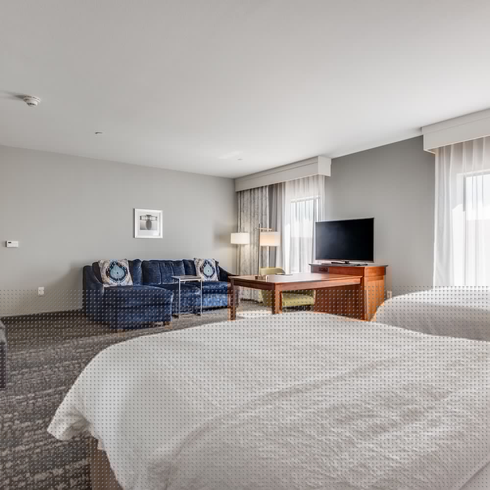 Hampton Inn Suites Dallas Ft Worth Airport South Tx 24/49