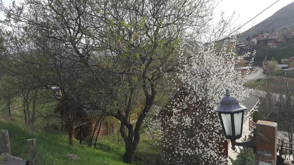 Vegke Kutuk Evleri 33/35