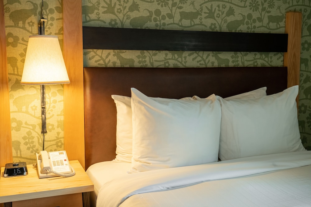 Fox Hotel & Suites 32/63