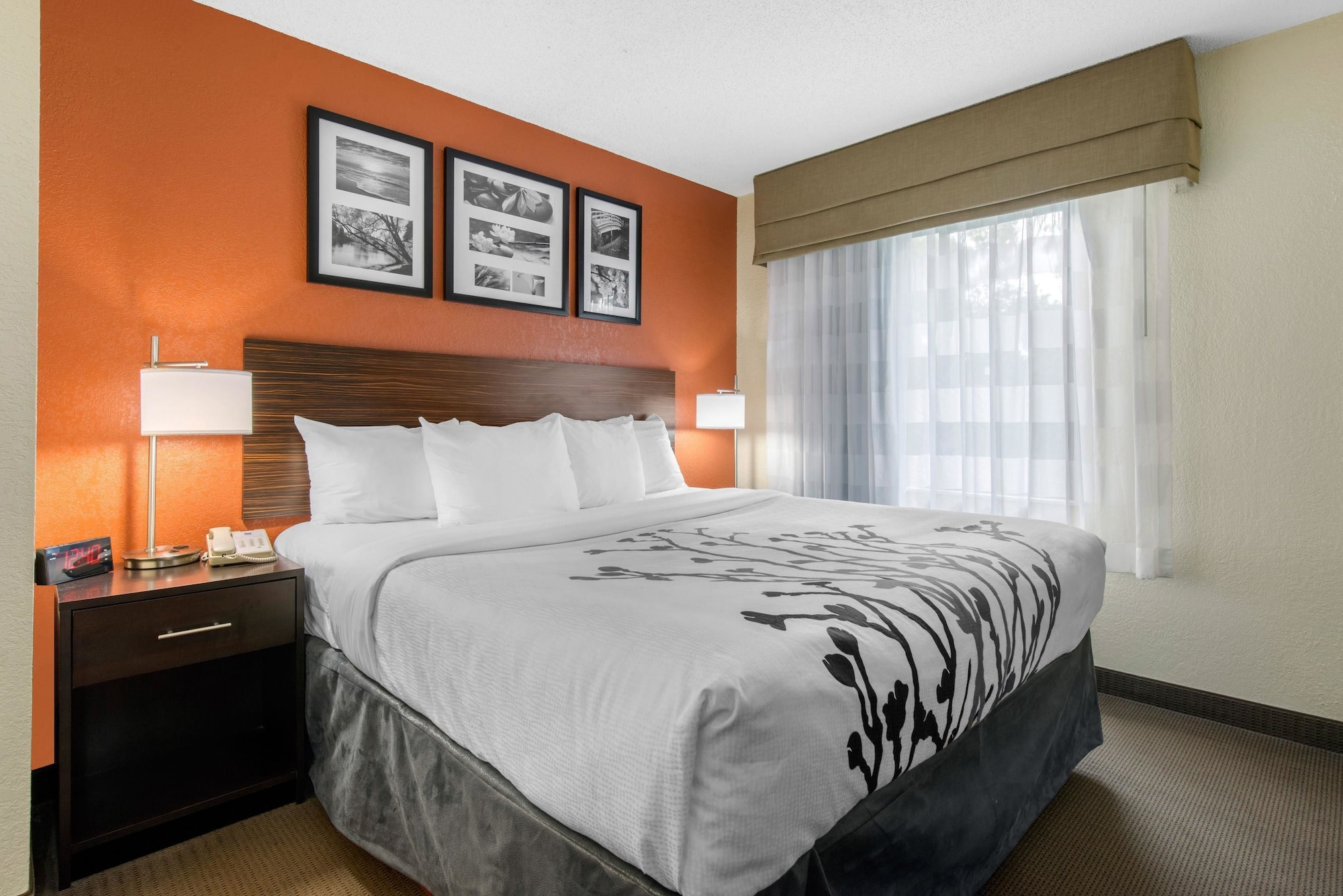 ROOM, KING BED, ACCESSIBLE