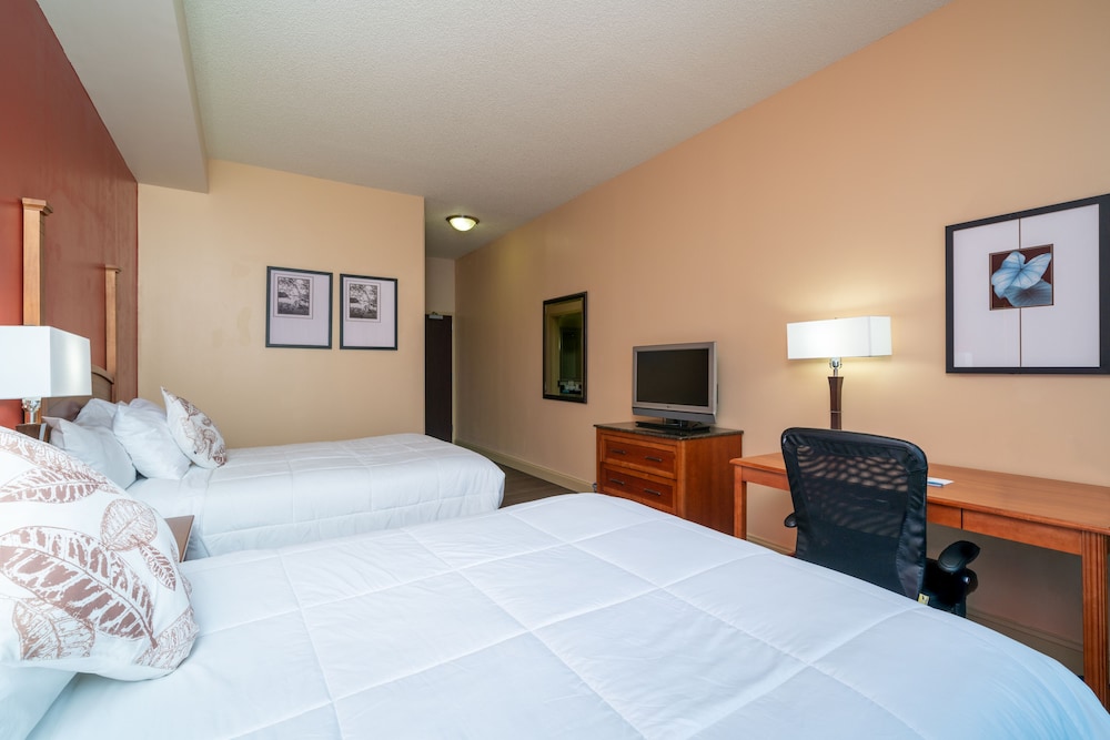 BASIC, 2 QUEEN BEDS