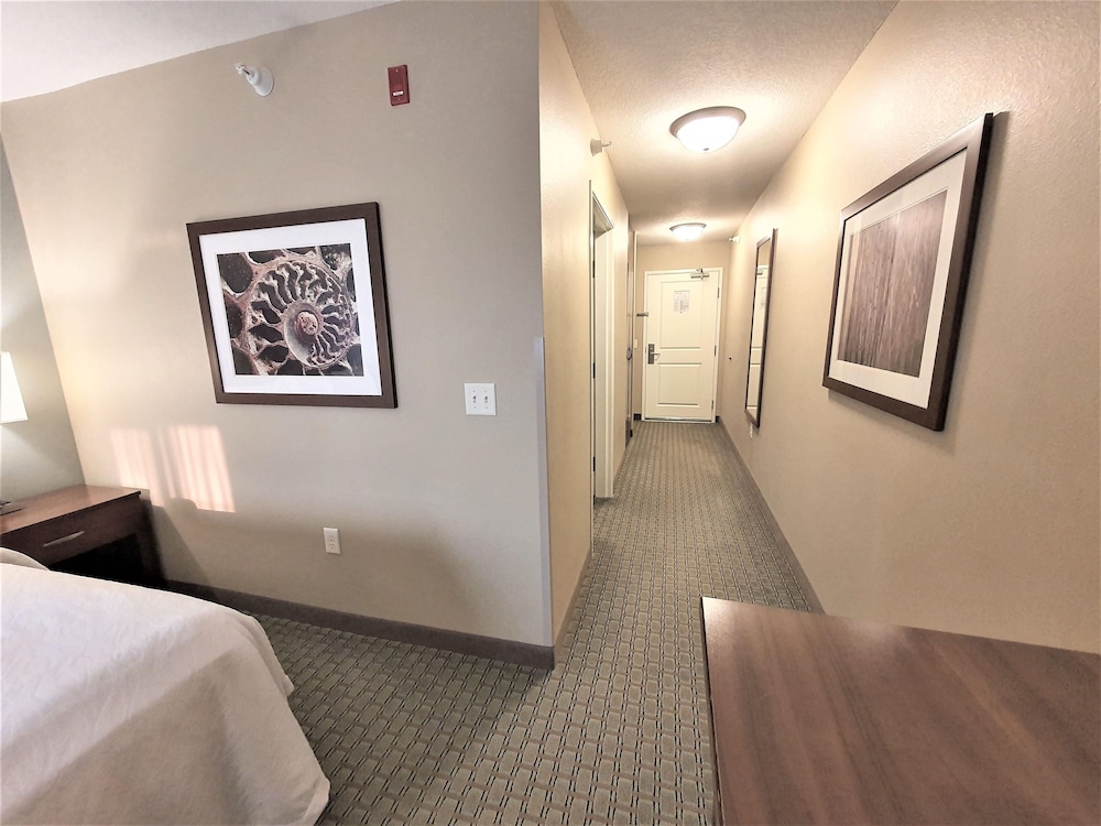 AmeriVu Inn and Suites - Chisago City 20/37