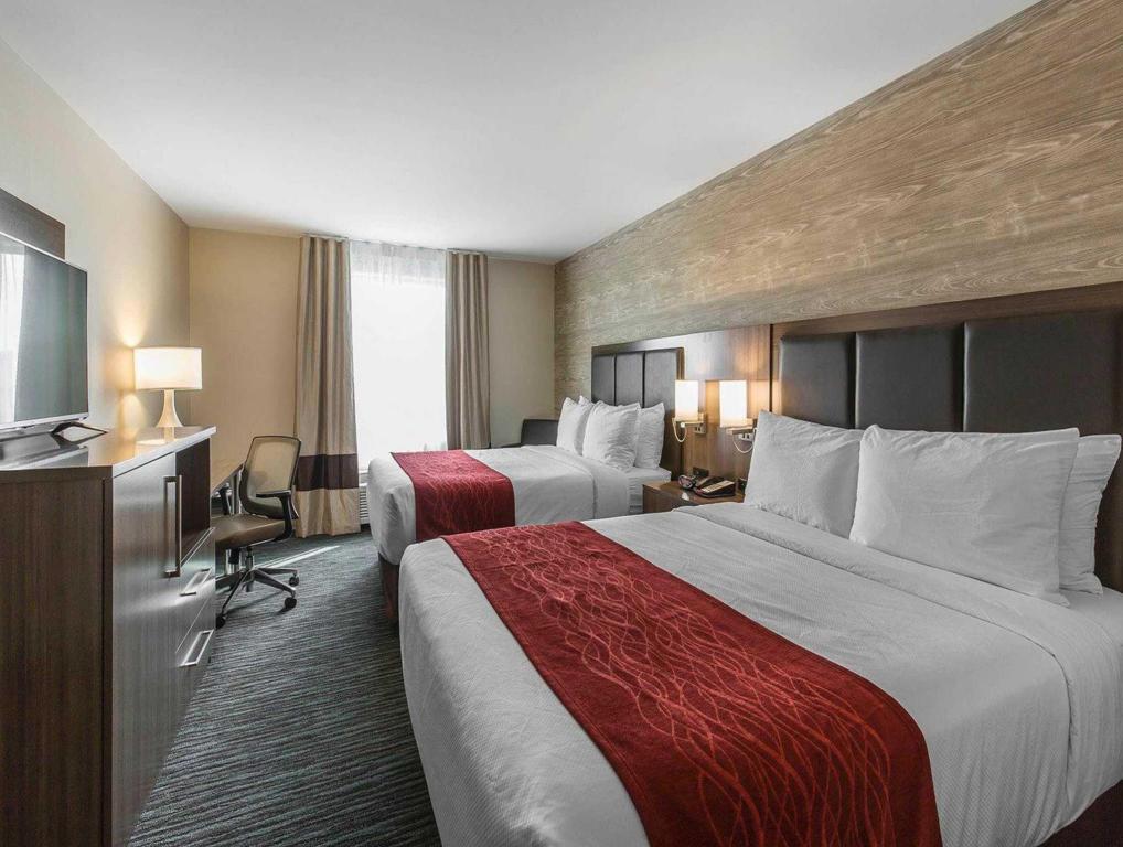 ROOM, QUEEN BED, ACCESSIBLE