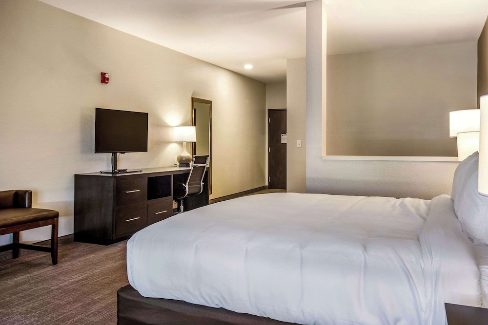 Suite, King Bed, Sofa, Accessible