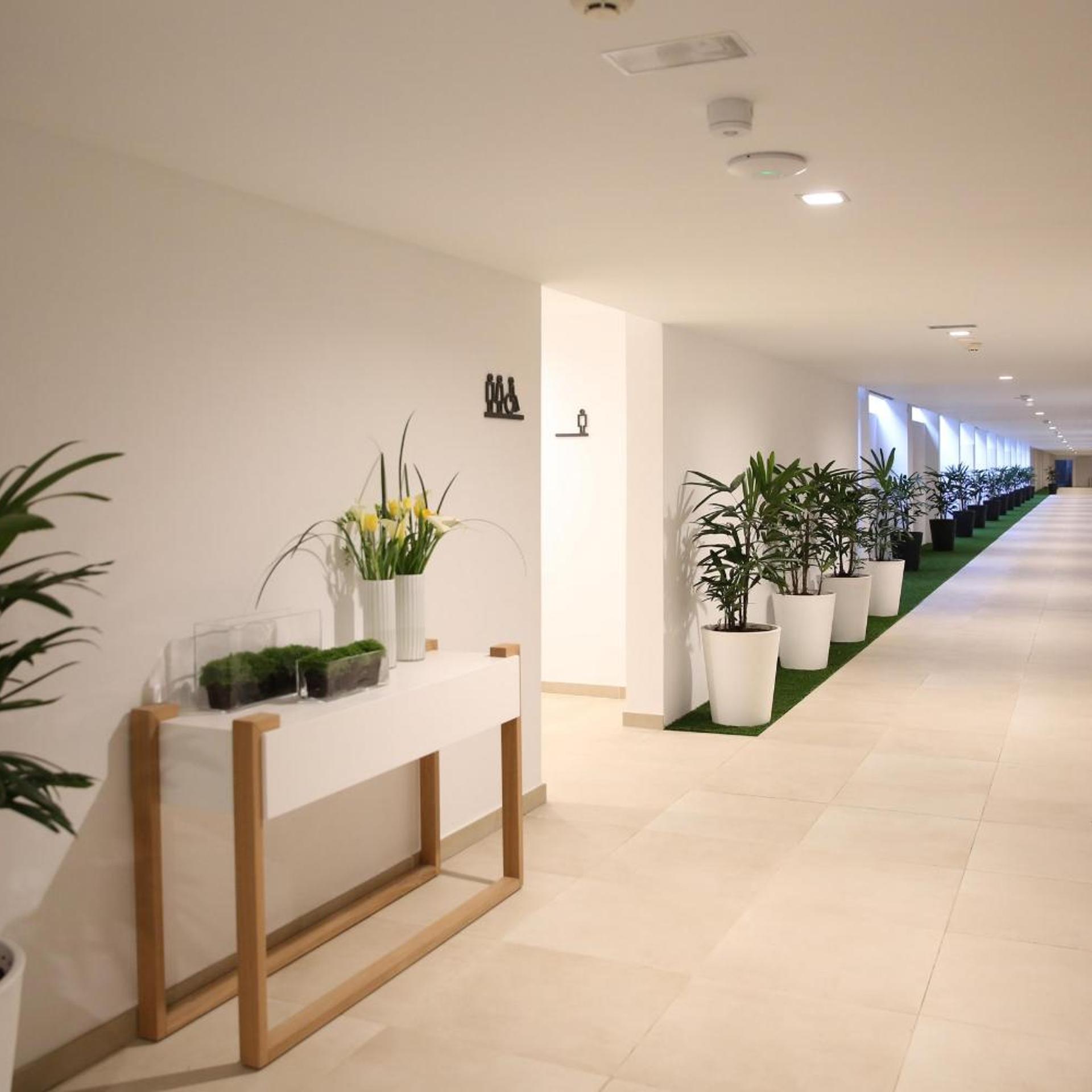 Santa Monica Suites 8/53