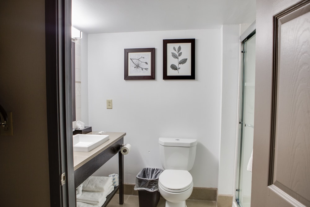 Country Inn & Suites by Radisson Harlingen, TX 67/67