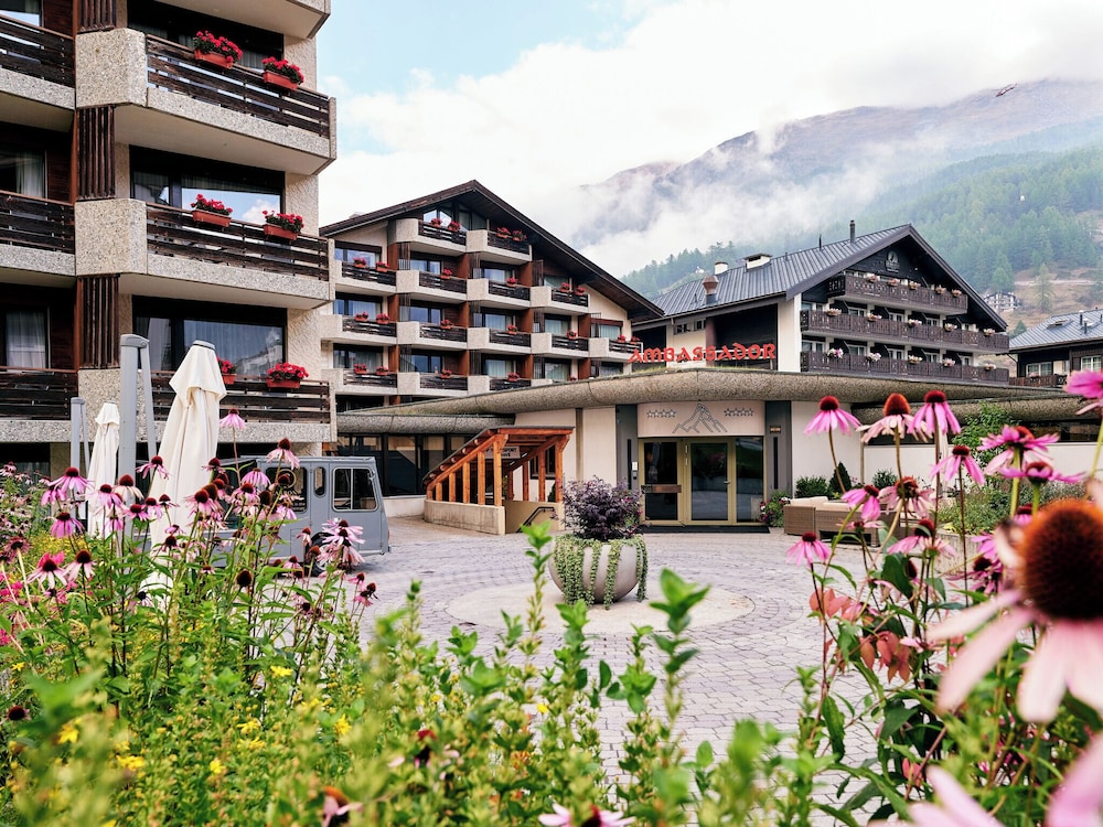 Ambassador Zermatt 5/50