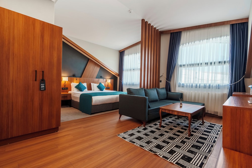 Library Hotel Erciyes 12/43
