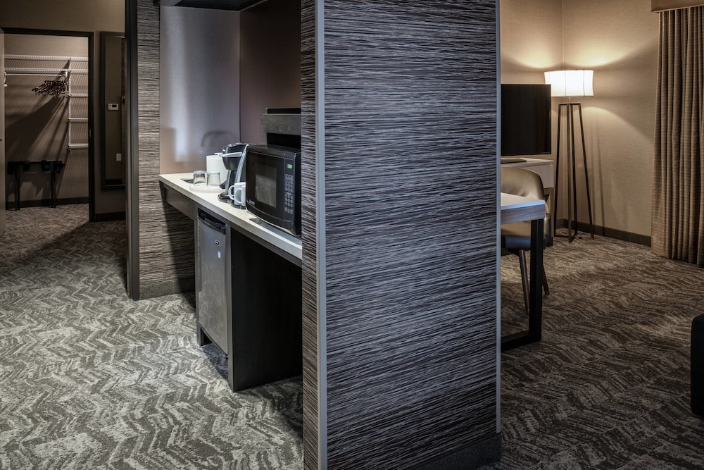Springhill Suites Springdale Zion National Park 20/52