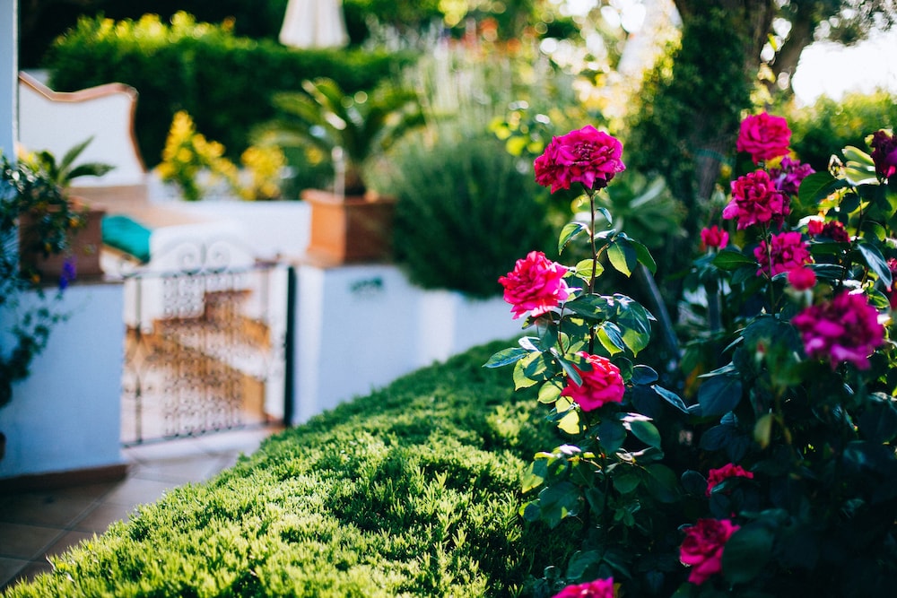 Il Giardino Dell'arte - Guest House 28/34