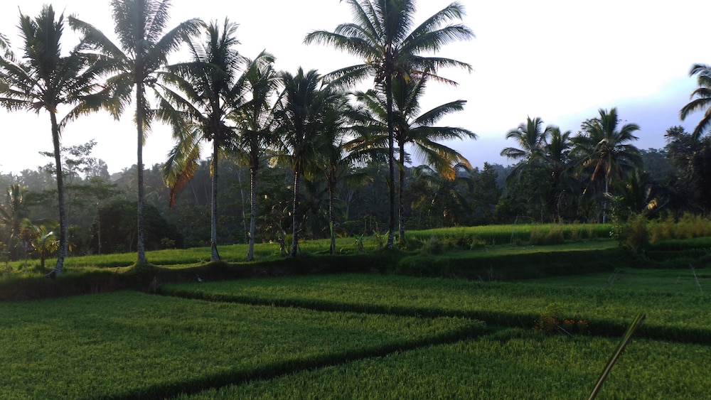 Villa Kemuning 27/40