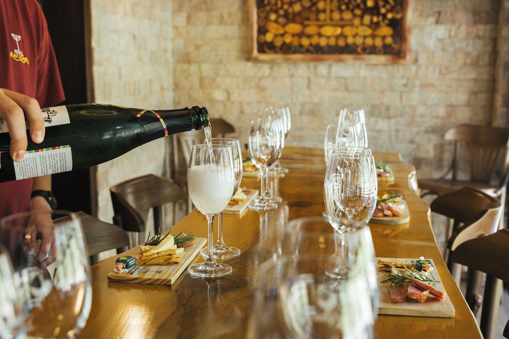 Hotel Boutique Vinicola Araucaria by Slaviero Hoteis 13/50