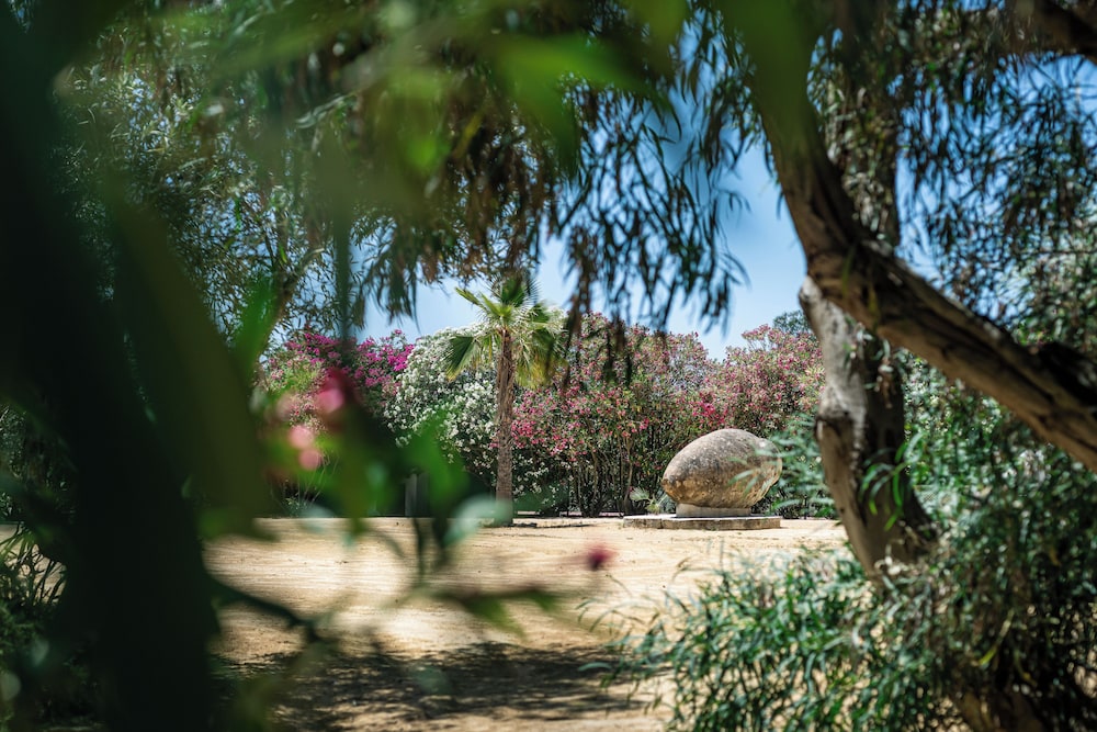 Hacienda de San Rafael 38/50