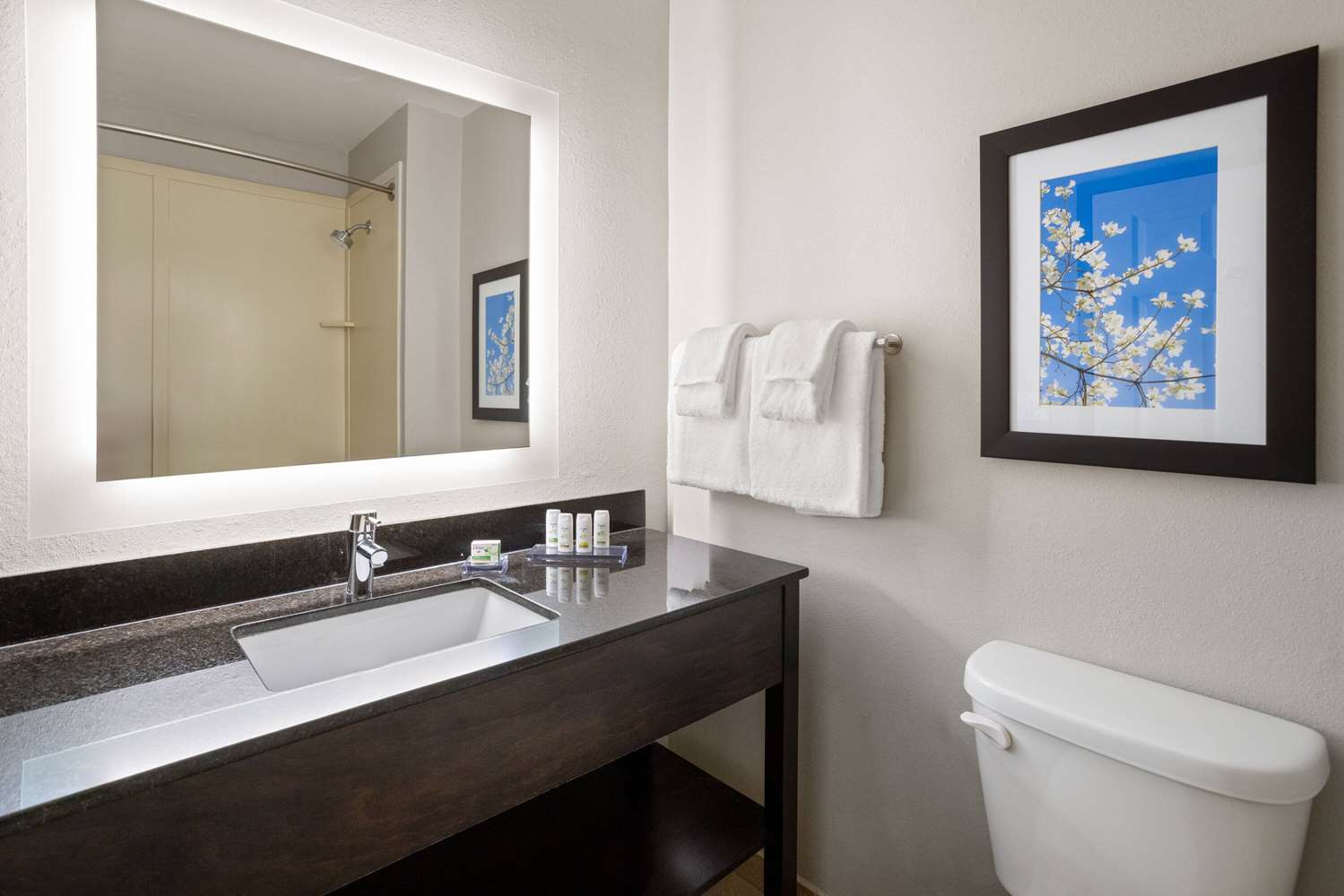 La Quinta Inn & Suites by Wyndham Mooresville 20/24