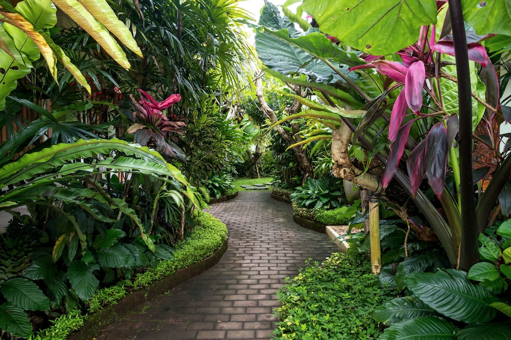 Padma Retreat Ubud 35/50