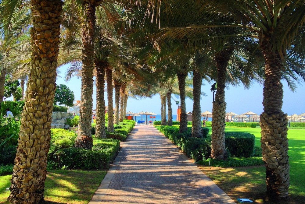 surroundings
