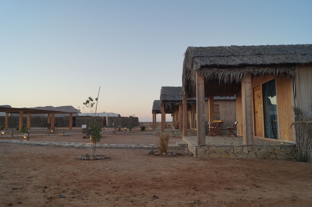 SAMA Ras Al Jinz Resort 28/36