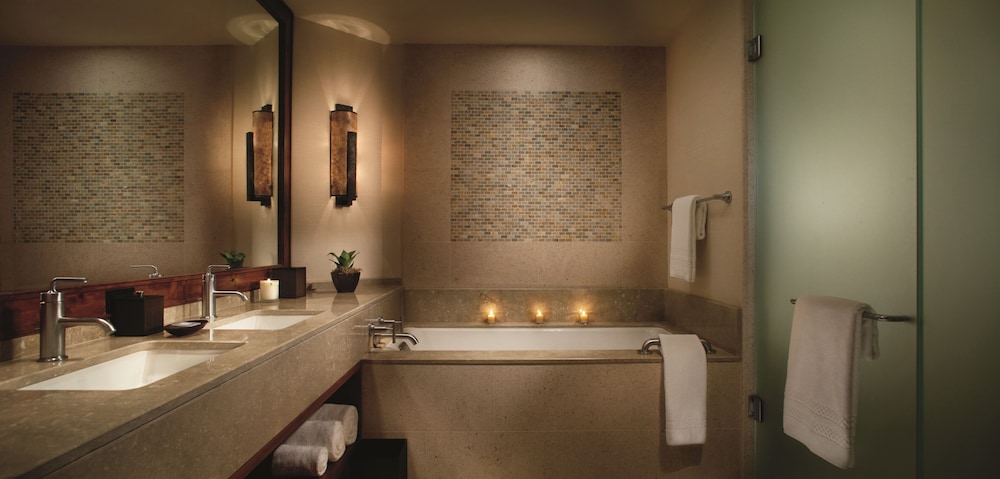 The Ritz Carlton Dove Mountain 17/51