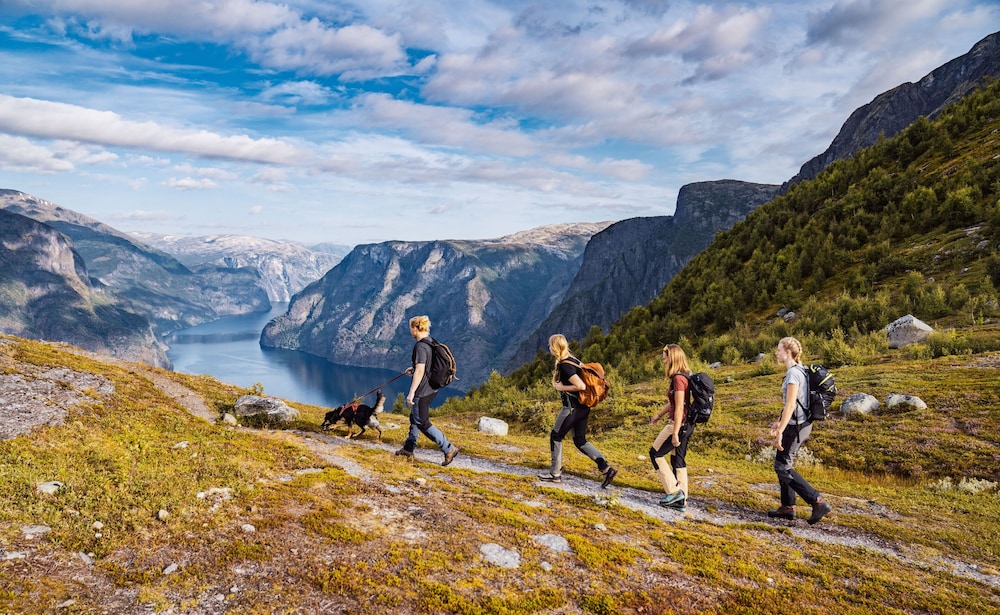 Hotel Aurlandsfjord 40/50
