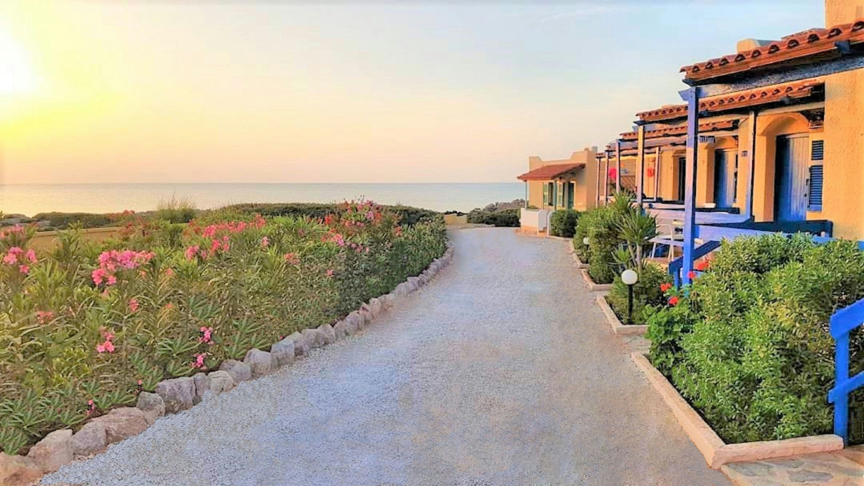 Zorbas Beach Village Hotel 42/49