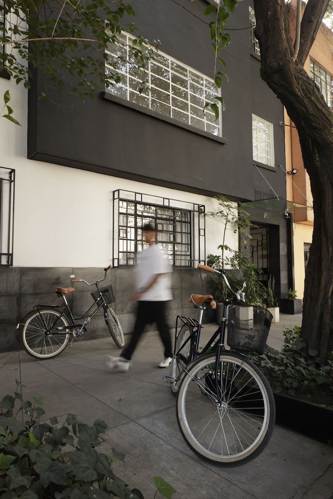 Casa Decu 3/50