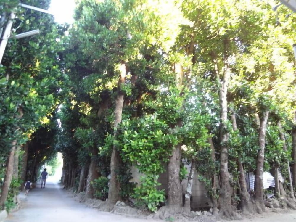 Bise House 16/21