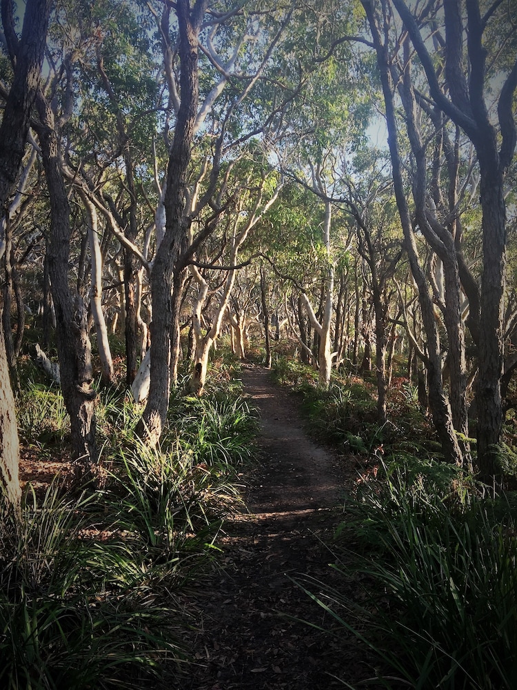 Huskisson Bayside Resort 24/33