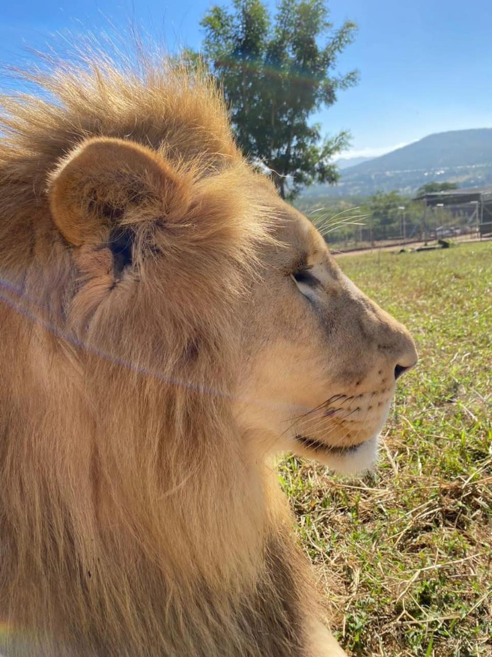 Pumbaa Wildlife Park and Accommodation 35/38