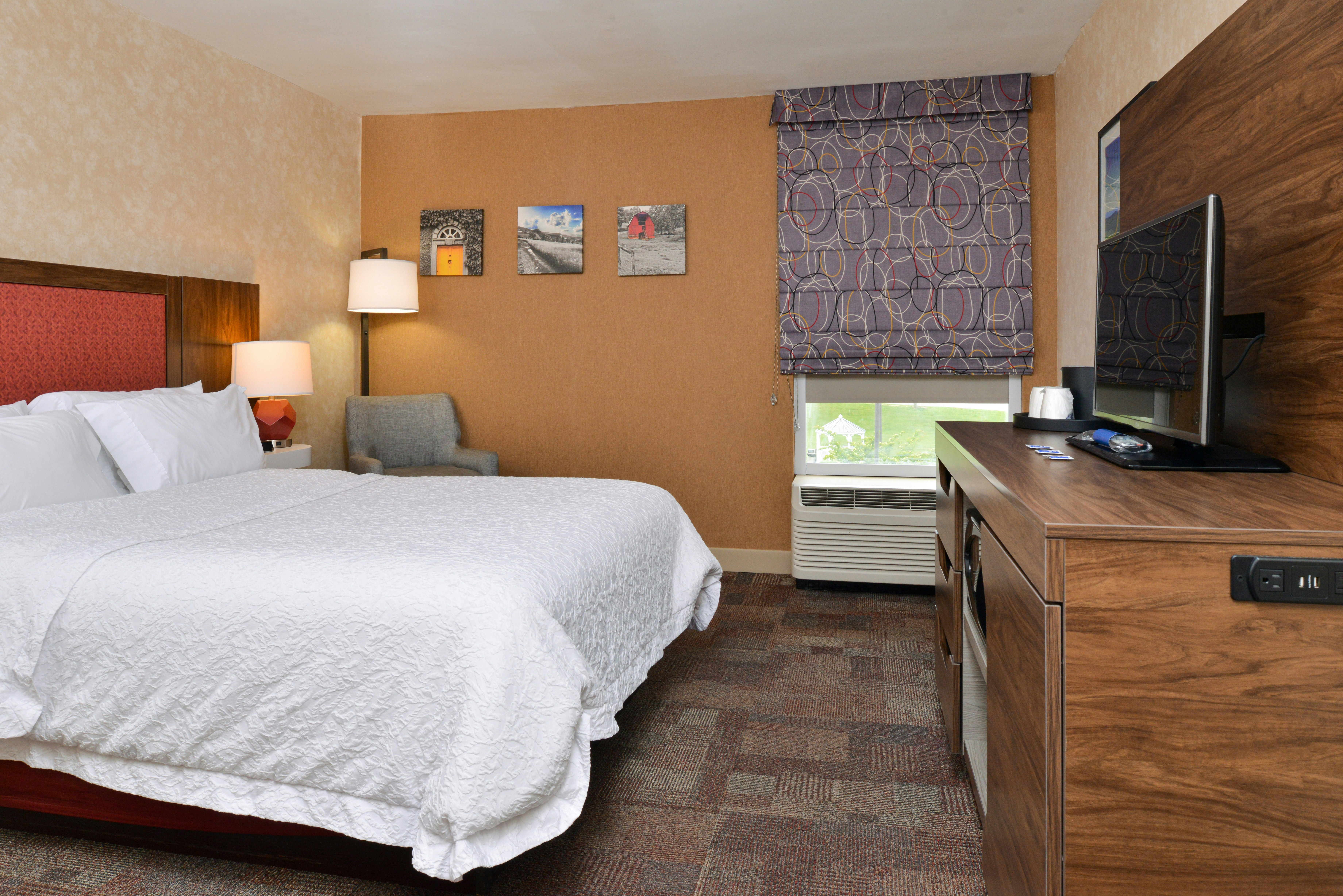 Room, King Bed