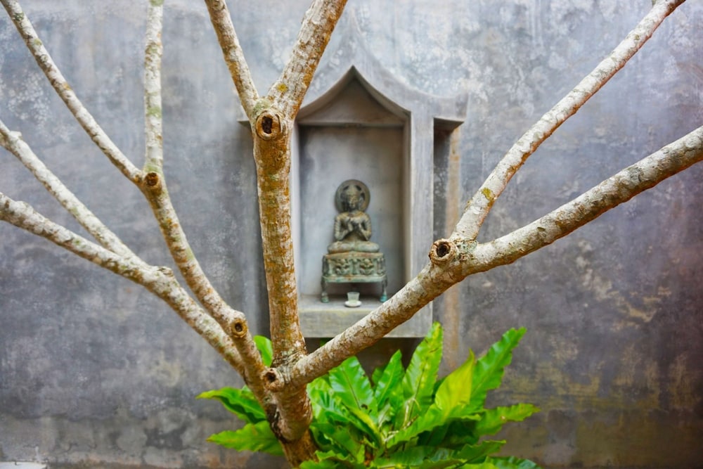 THE SIGNATURE PHUKET RESORT AND RESTAURANT 3/70