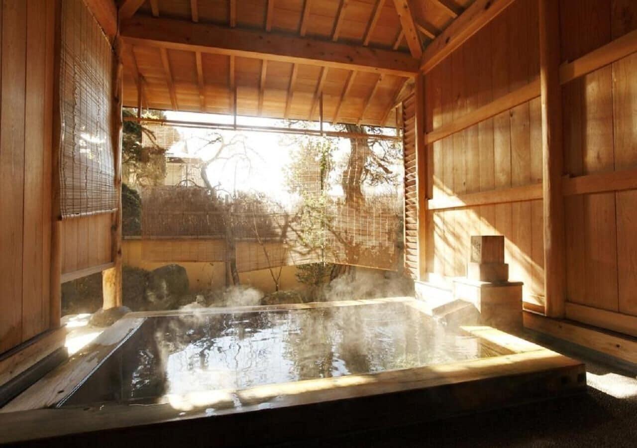 Shinshu Shimosuwa Onsen Gingetsu 10/18