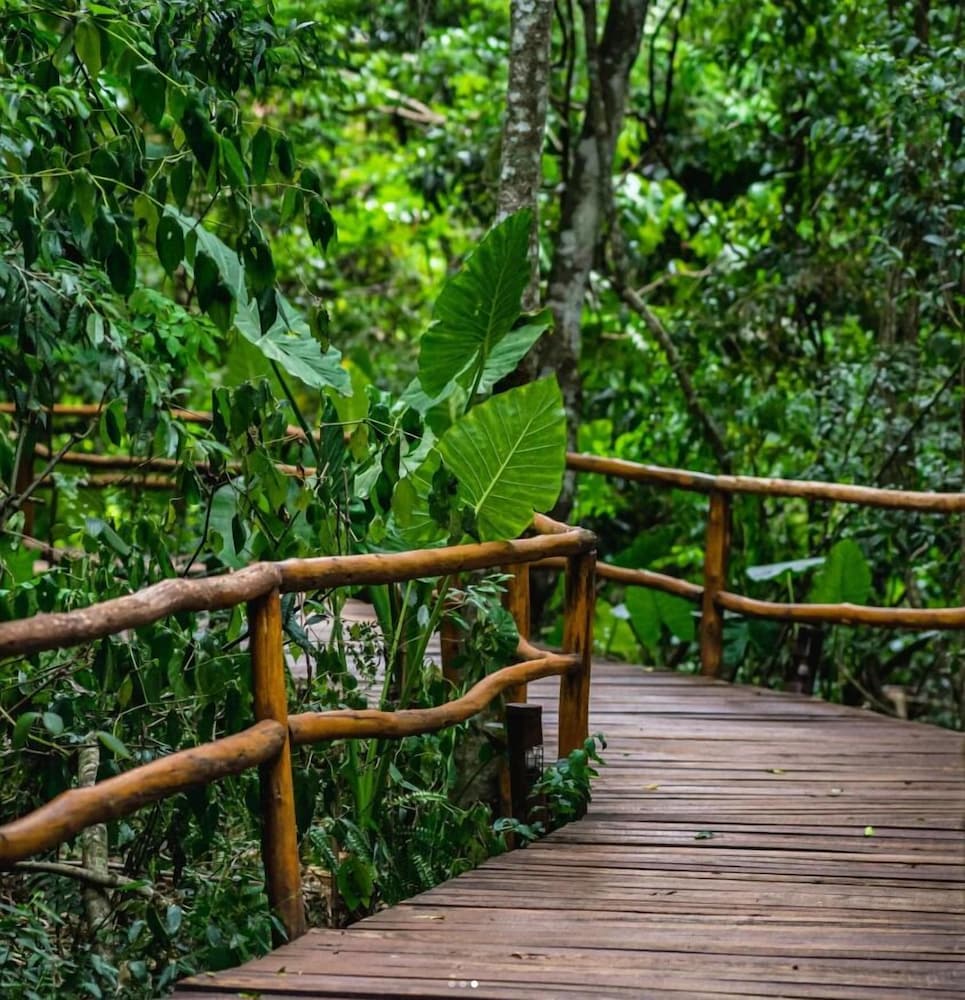 LA ALDEA DE LA SELVA LODGE 40/43