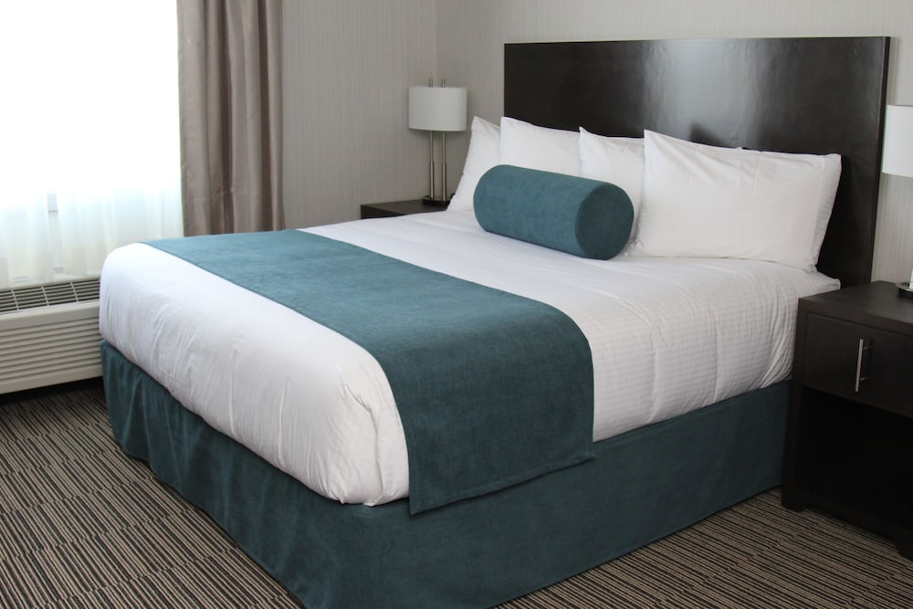 Best Western Plus Airdrie Gateway 18/50