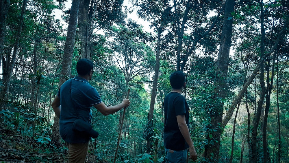 Wayanad Wild - Cgh Earth 33/48