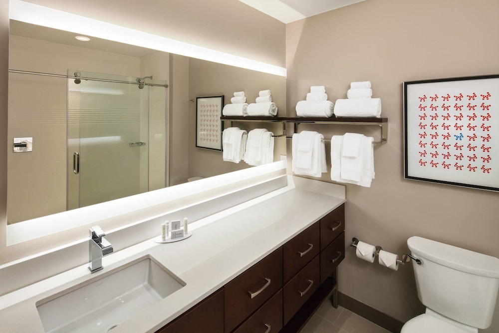 Towneplace Suites By Marriott New Orleans Downtown Canal Street 19/65