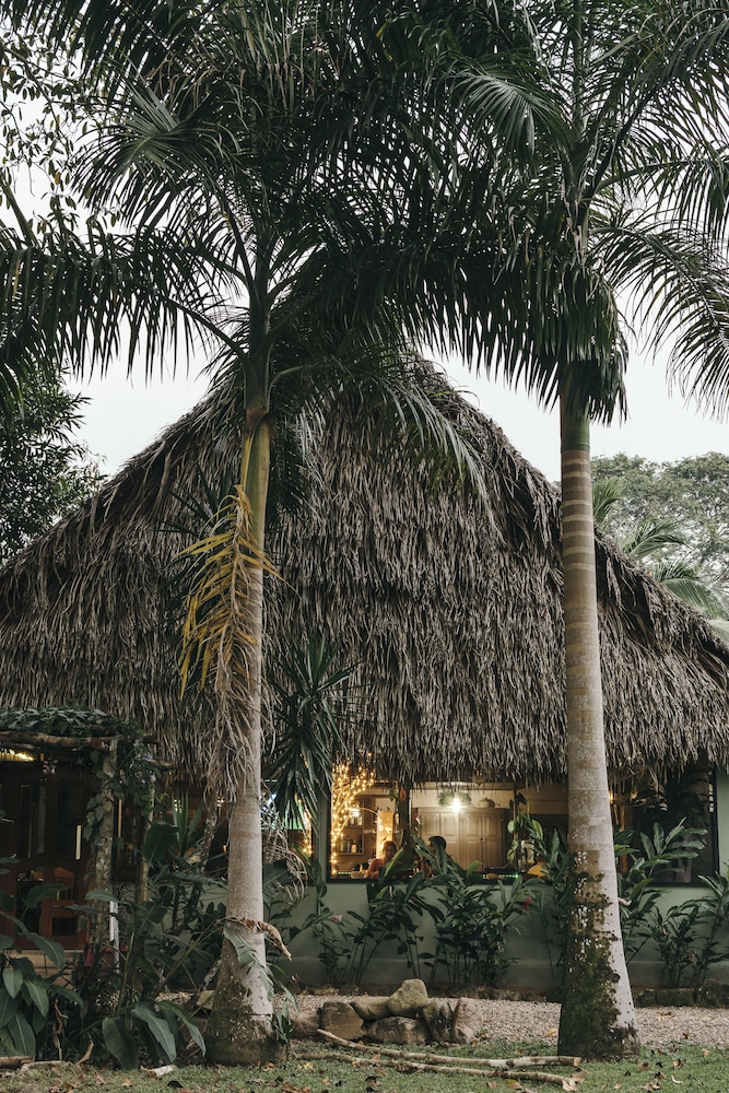 Bocawina Rainforest Resort Adventures 42/50