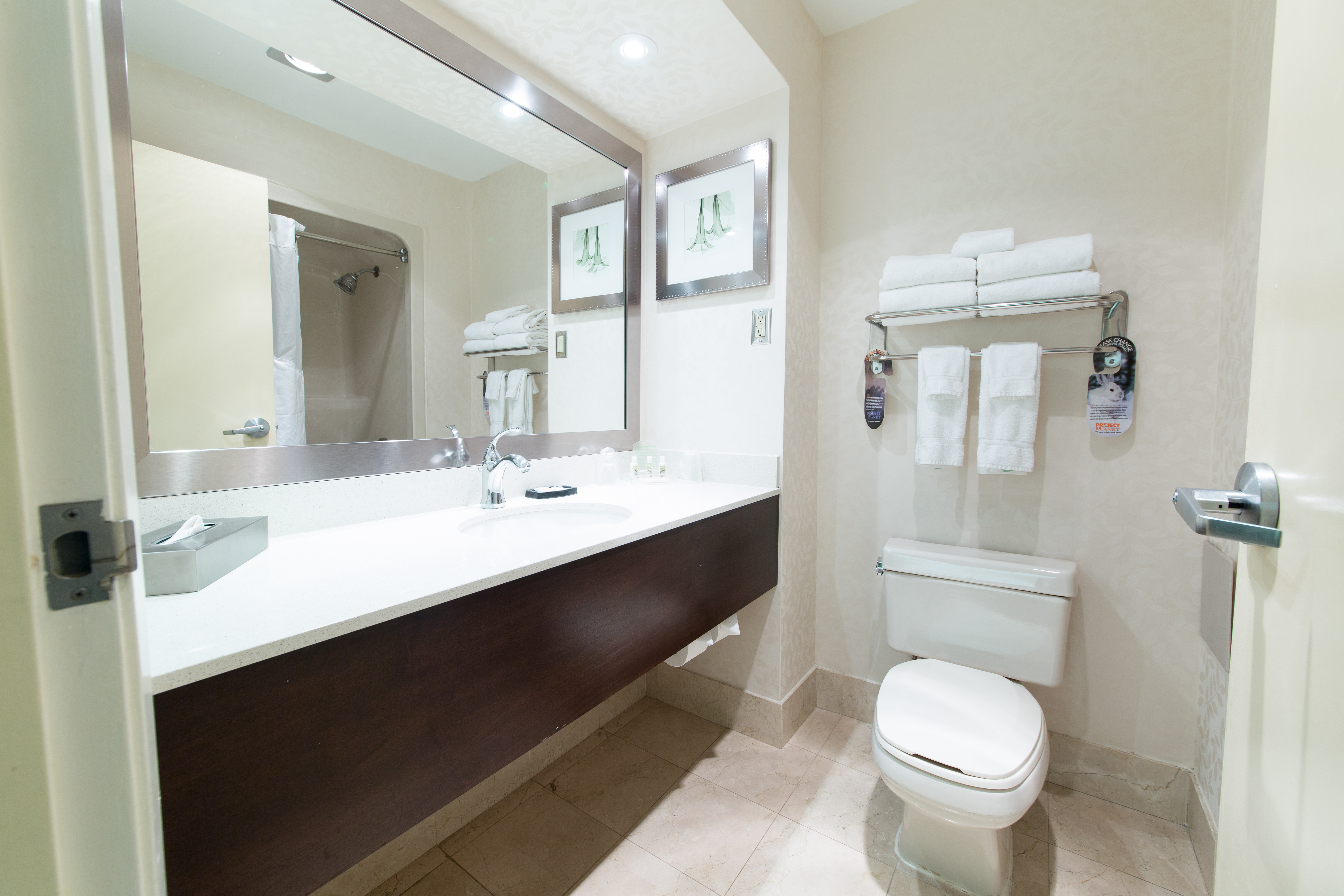 غرفة بسرير كينج، Holiday Inn Suites Windsor Ambassador Bridge 5/6