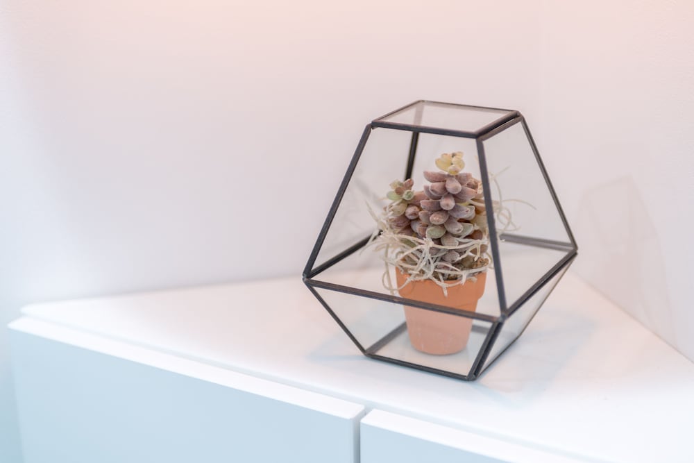Mono House Hongdae 2 43/71