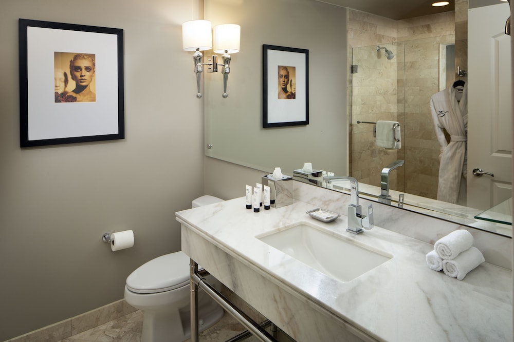 Hotel ZaZa Dallas 14/79