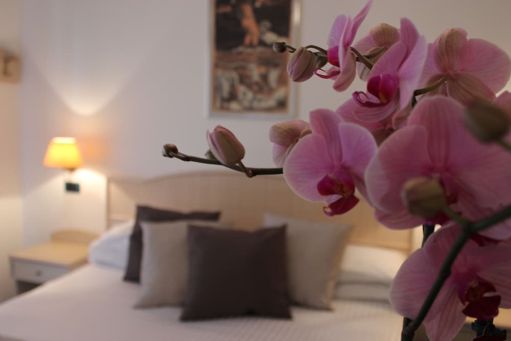 Hotel Miramare 42/63