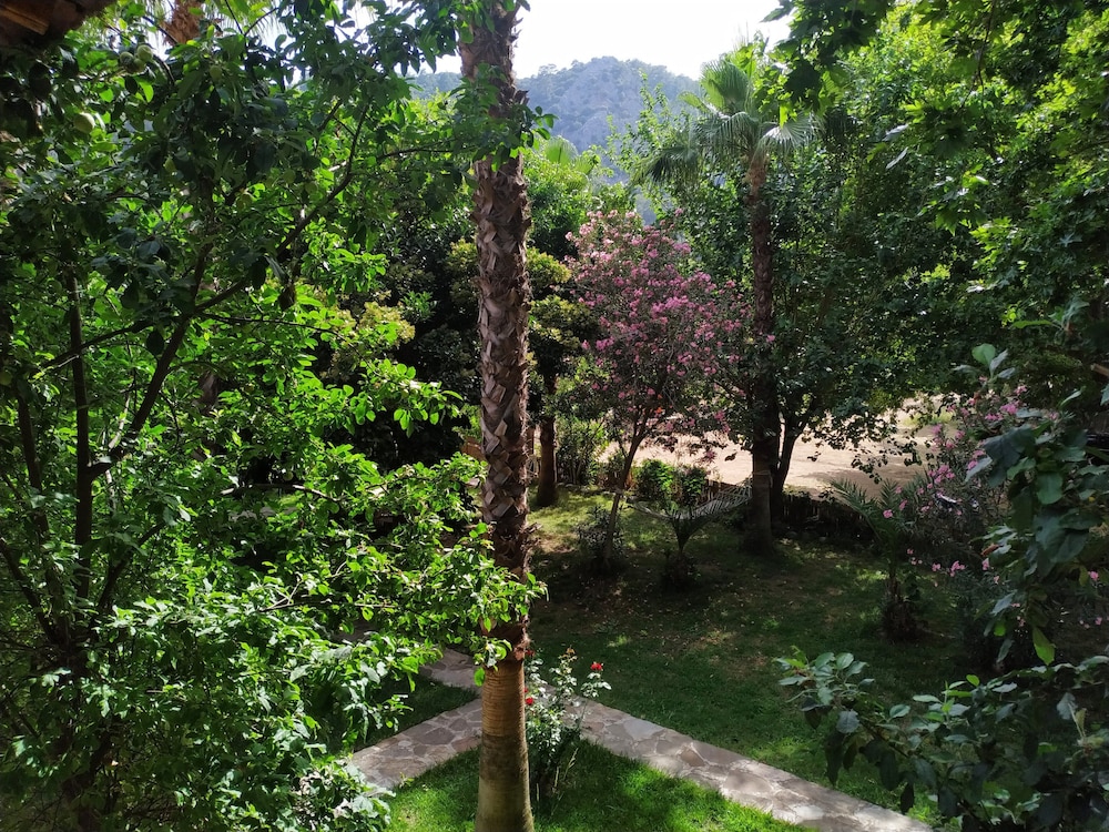 Olympos Yavuz Hotel 24/38