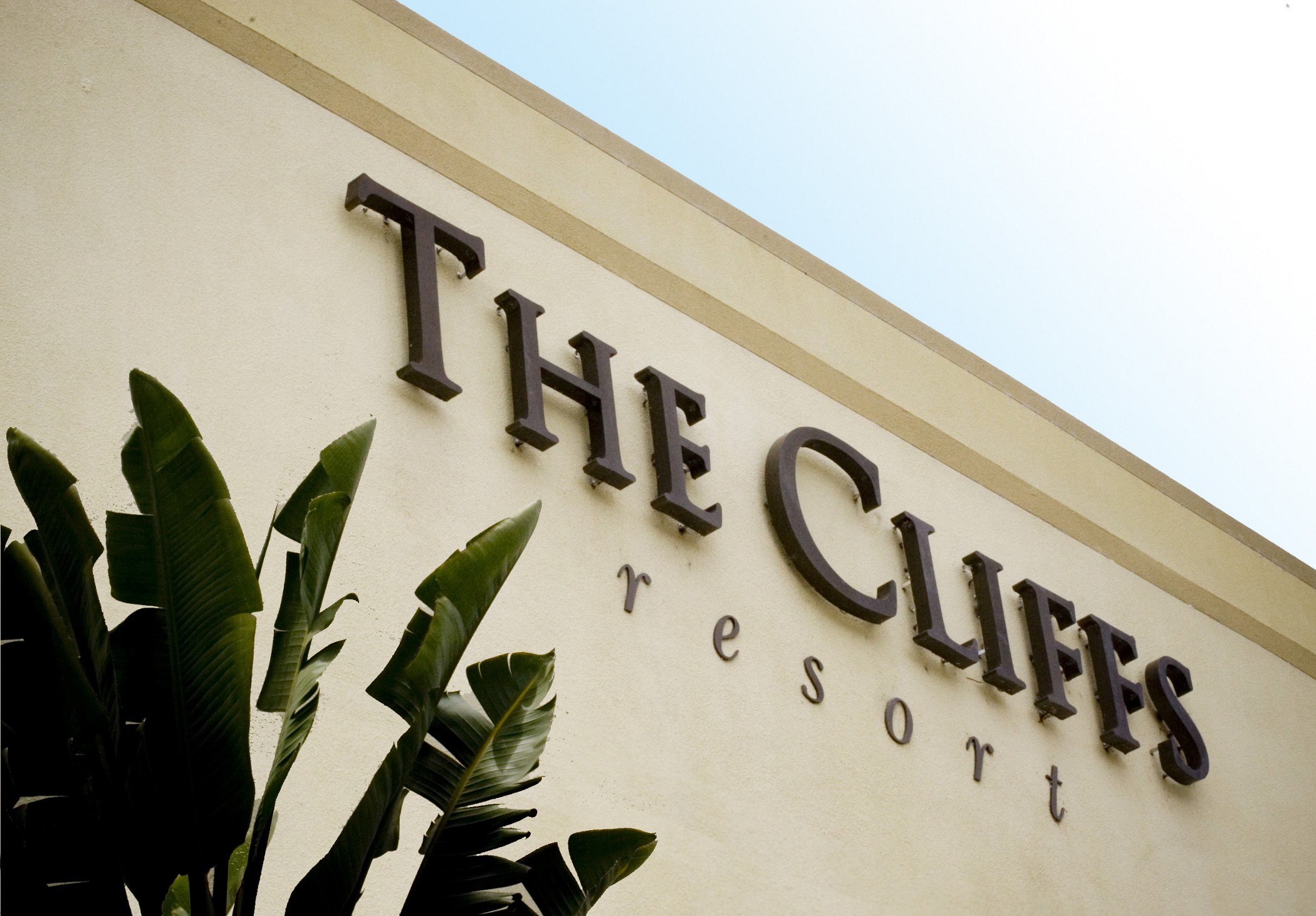 THE CLIFFS