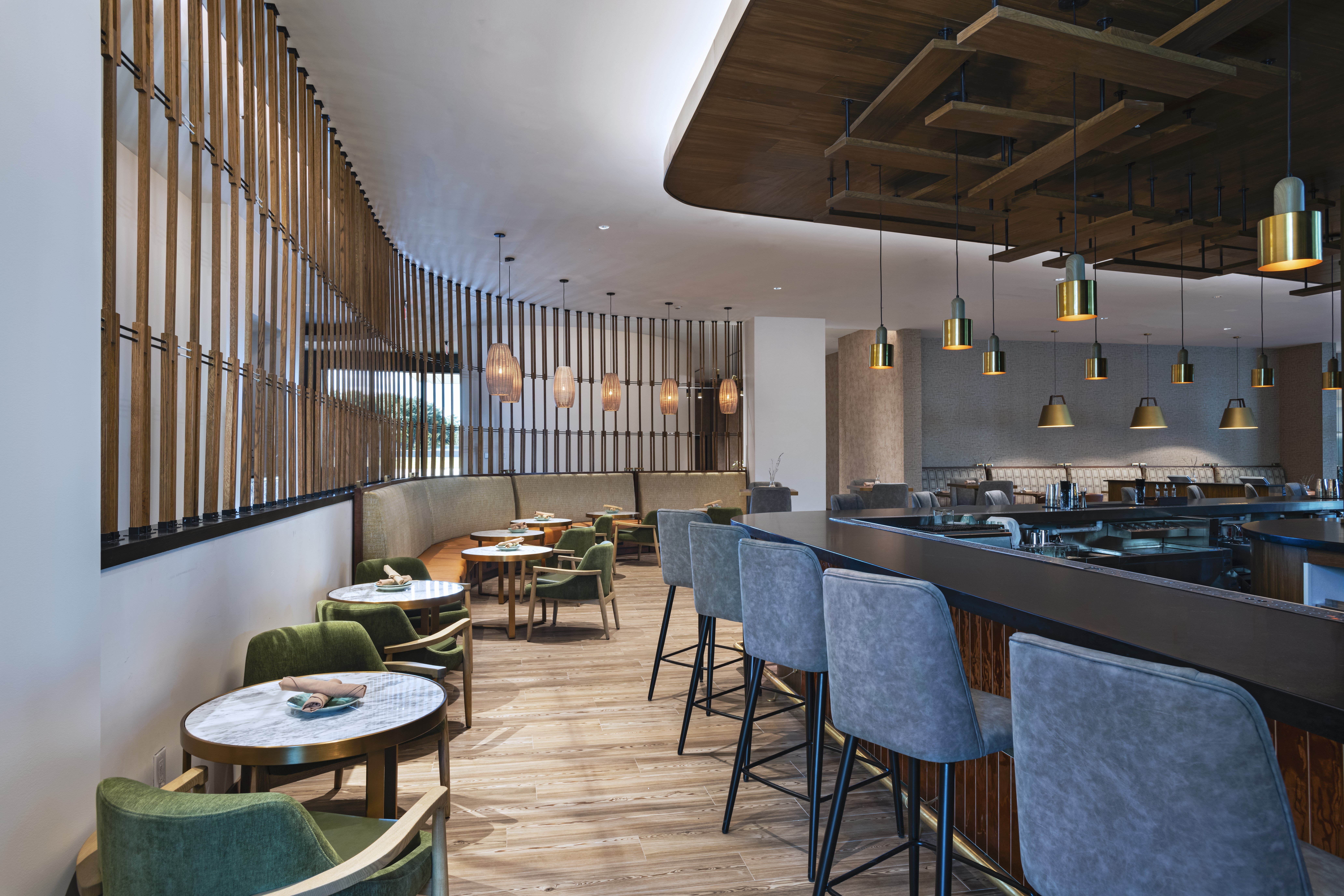 Hotel Indigo Irving Las Colinas, an IHG Hotel 18/30